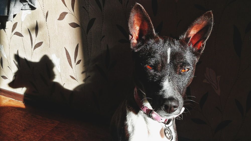 Photograph by Lerka Sonne