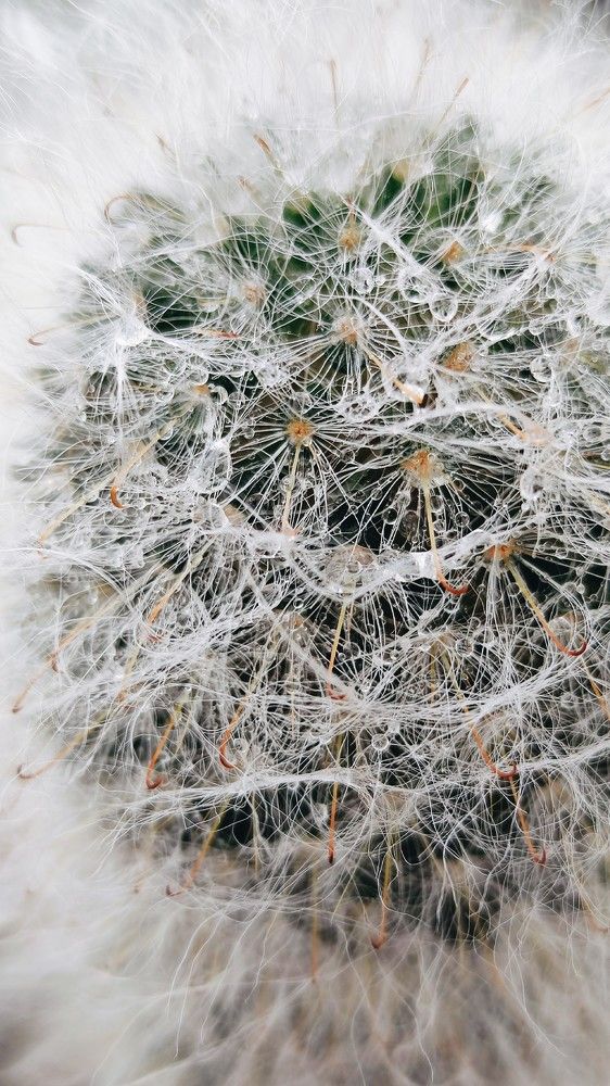 Photograph by Юлия Плаксина