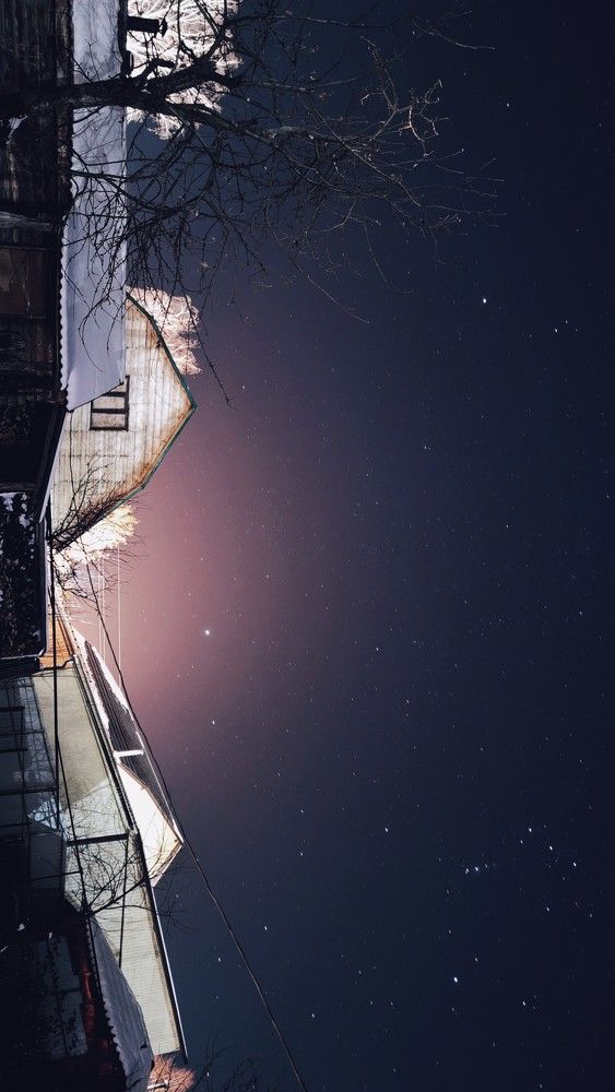 Photograph by Юлия Плаксина