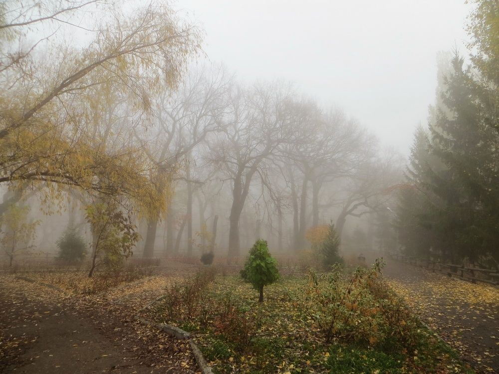 Photograph by Екатерина Салий