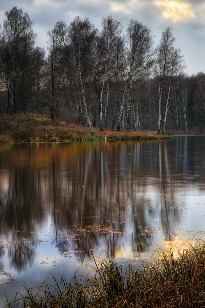 Опали листья