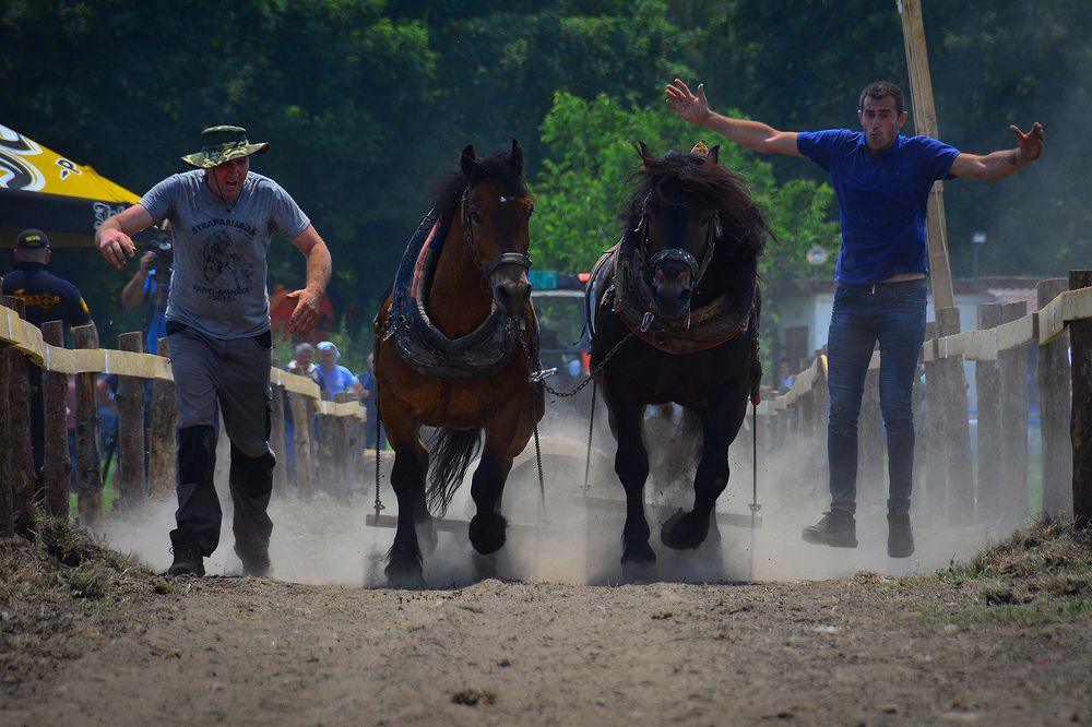 Photograph by Nenad Borojevic