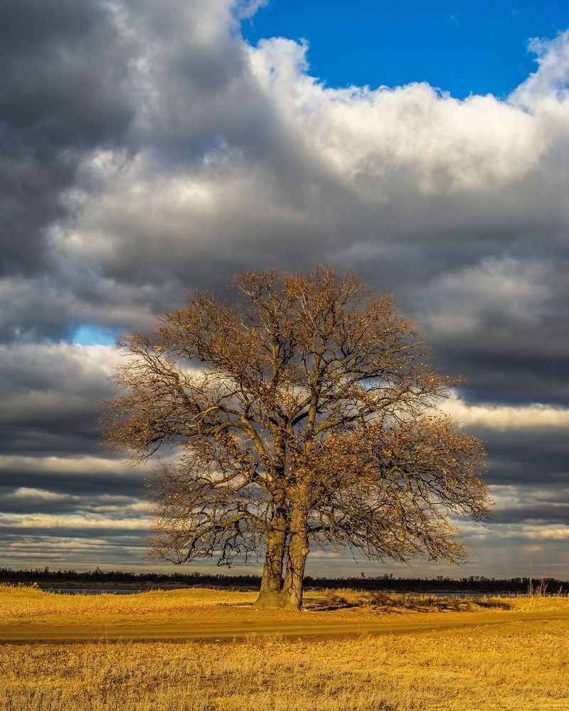 Photograph by Роман Васильев