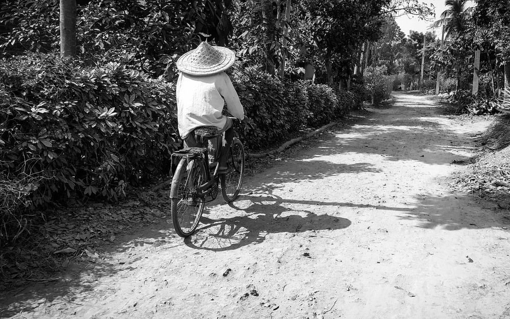 Photograph by Shaibal Tarafdar