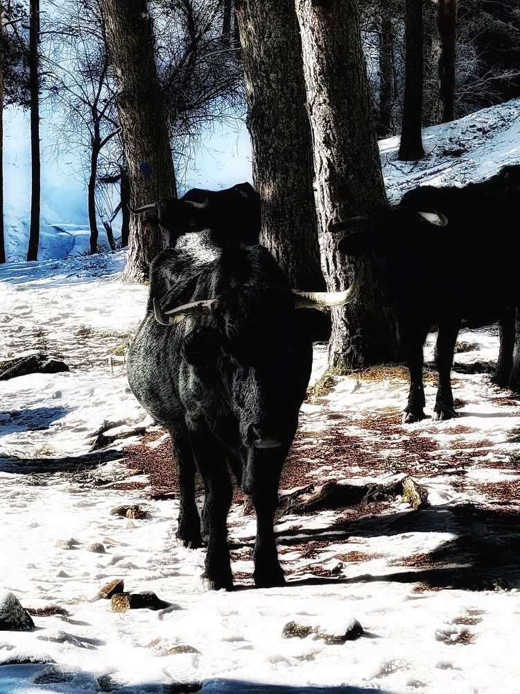 Photograph by Tiago França