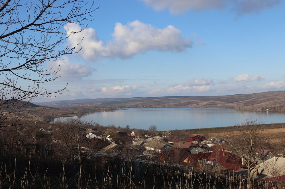 Spring landscape in a village