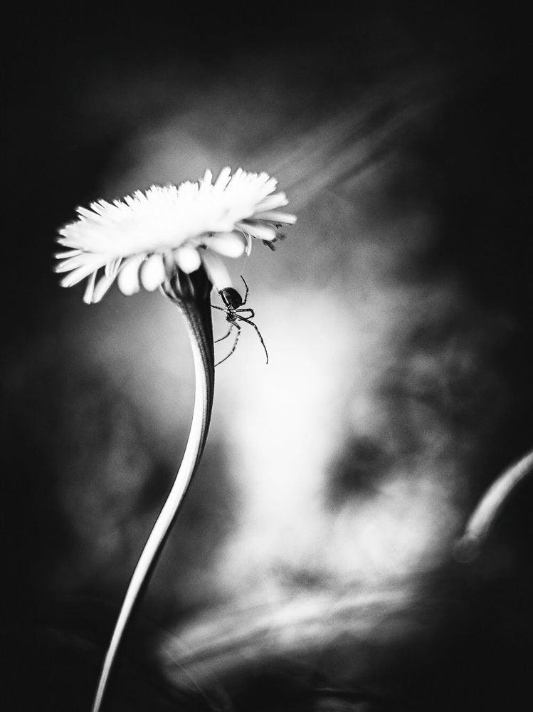 Photograph by Alex Voznak