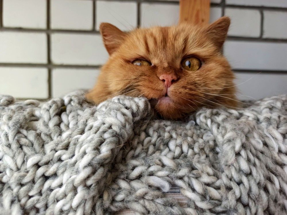 Photograph by Людмила Протасова