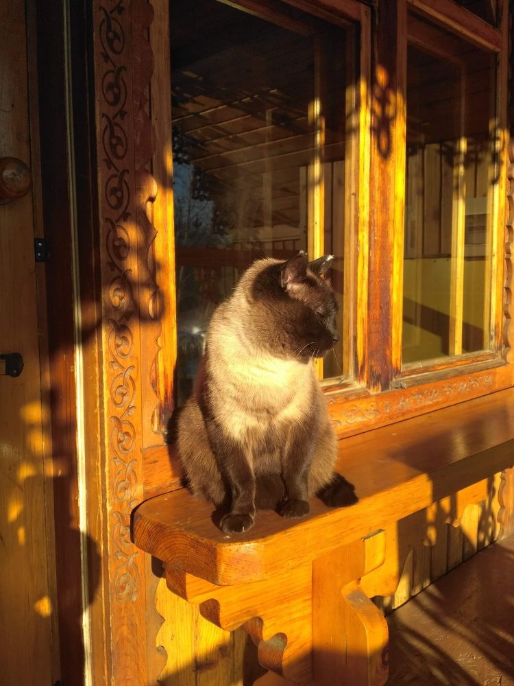 Photograph by Людмила Протасова