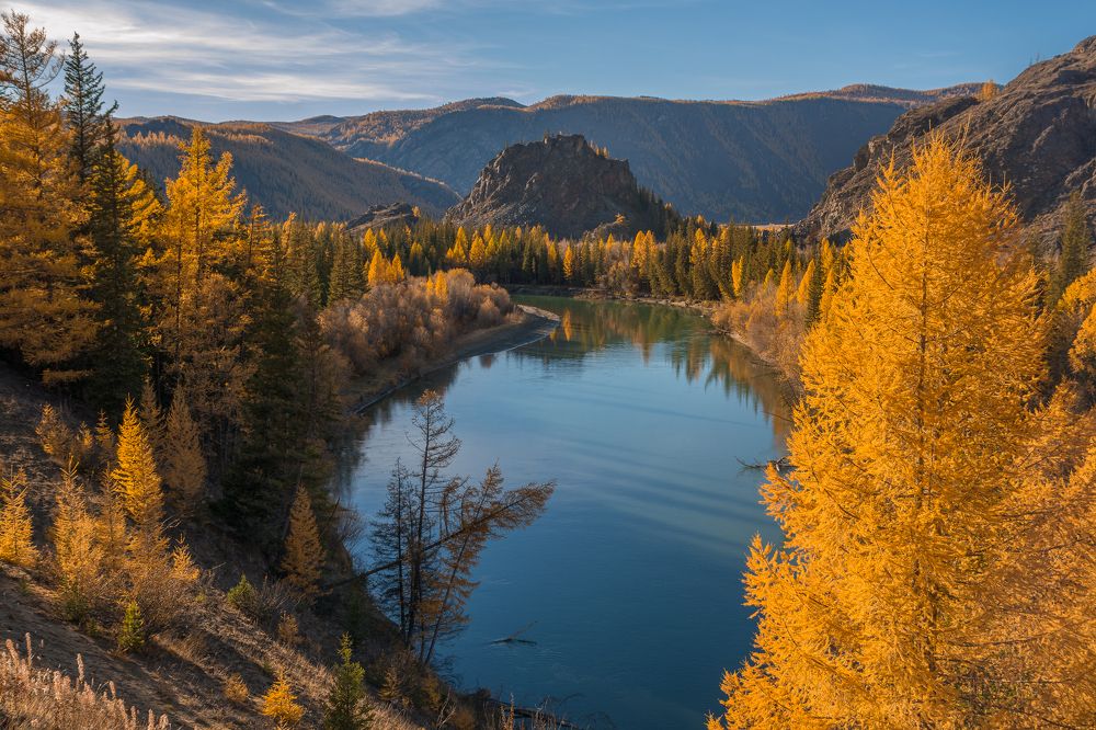 В золотом обрамлении