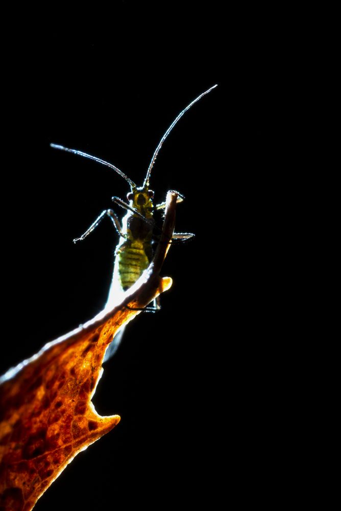 Photograph by Людмила Гудина