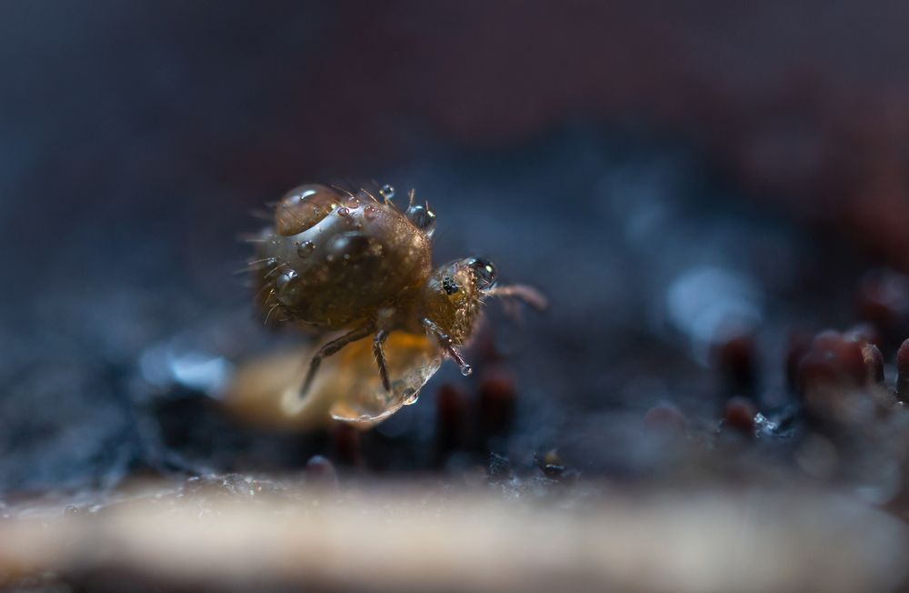 Photograph by Людмила Гудина