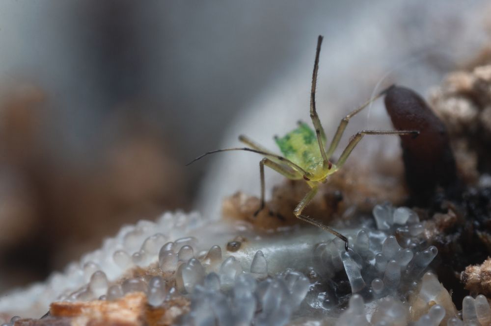 Photograph by Людмила Гудина