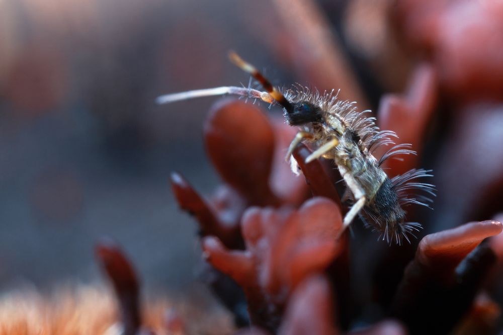 Модная прическа