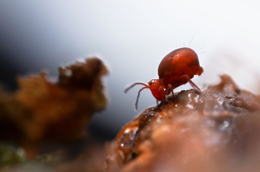 Photograph by Людмила Гудина