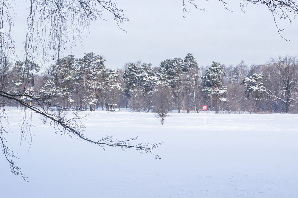 Кузьминки без людей