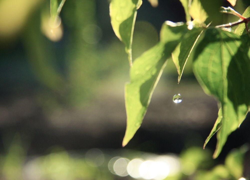 Photograph by Анастасия Павлова