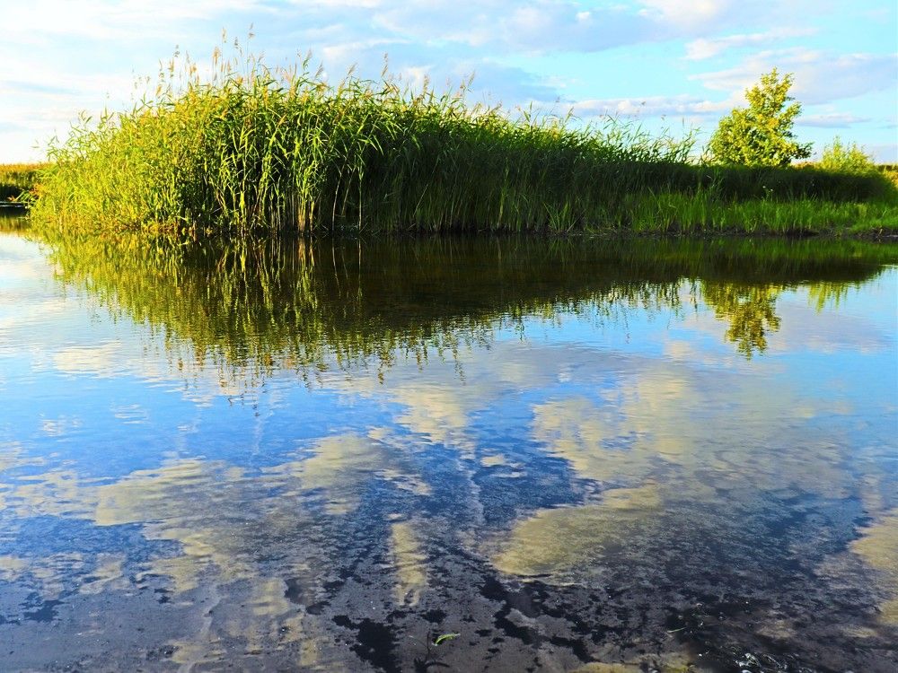 Photograph by Родосская Нонна