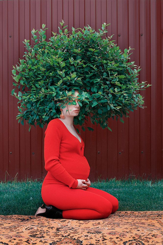 Photograph by Natalia Shamaeva