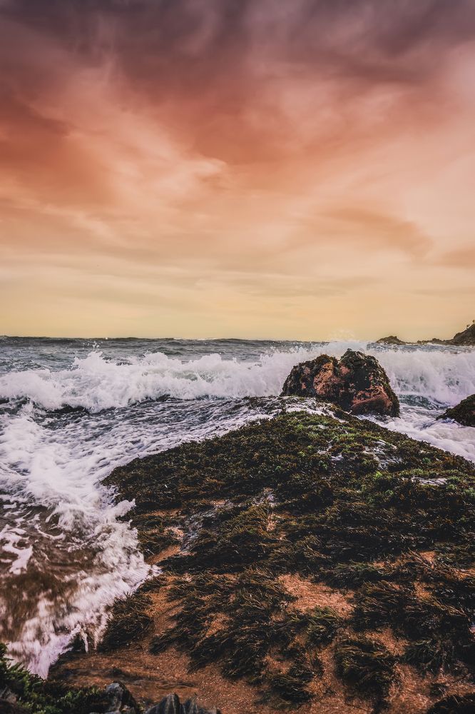 Photograph by Darmarathna Neranjan