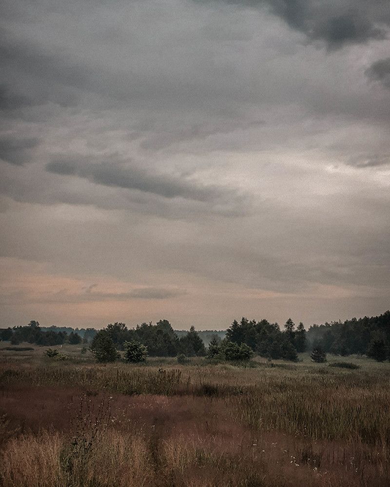 Photograph by Татьяна Носкович