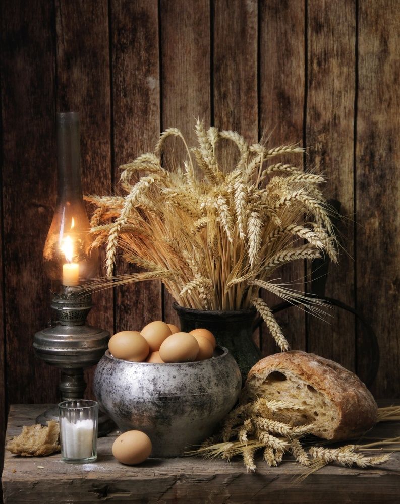 Фотография автора Елена Доянова