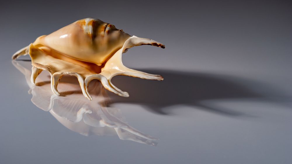 Photograph by Юрий Григорьевич Лозовой