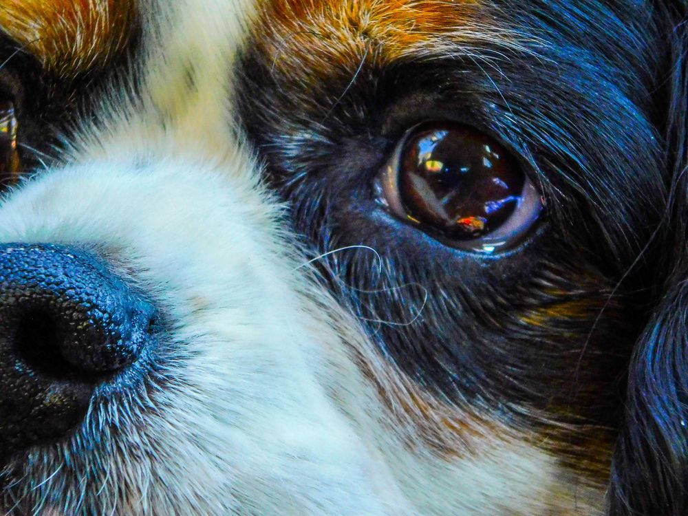 Photograph by Олеся Бронзова