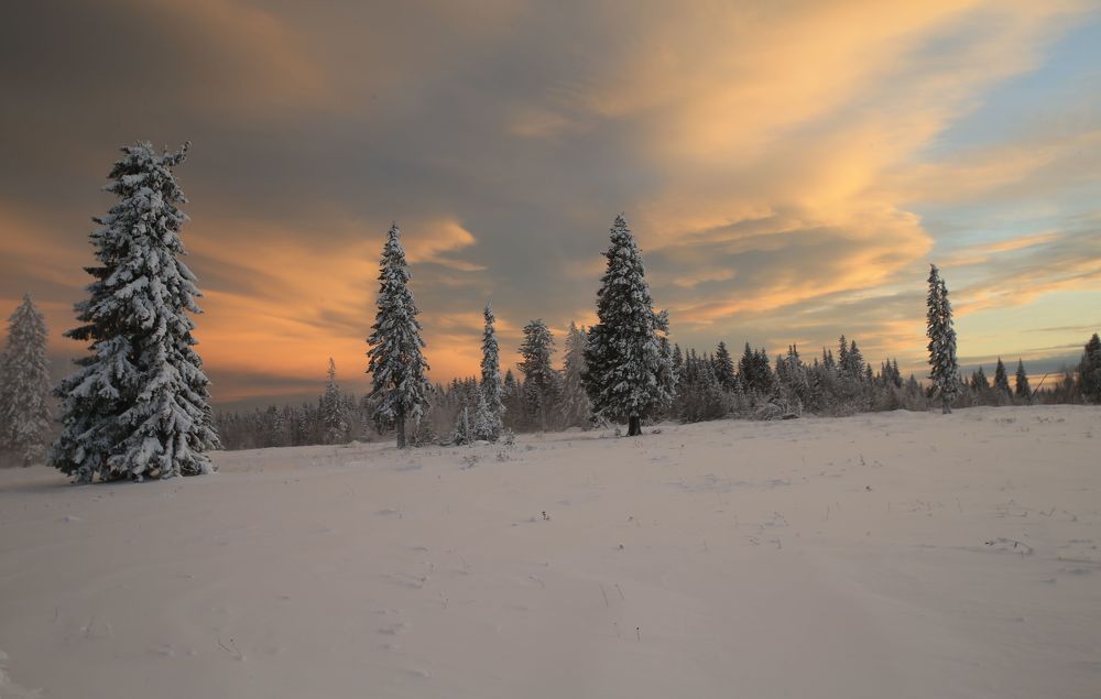 Фотография автора Юрий Кетель