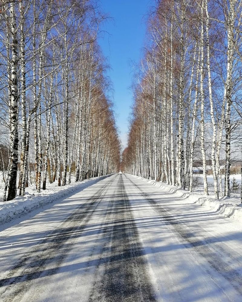 Зимняя дорога