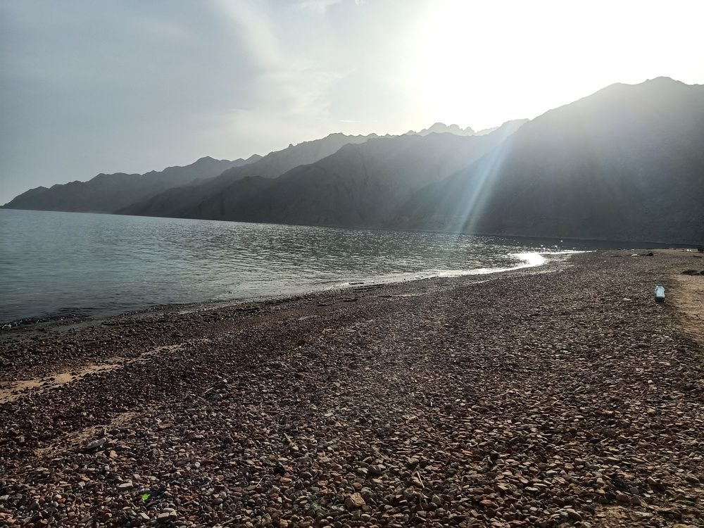 Photo #5757810