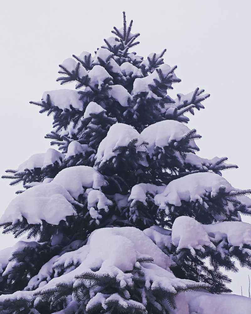 Photograph by Мария Лаврентьева