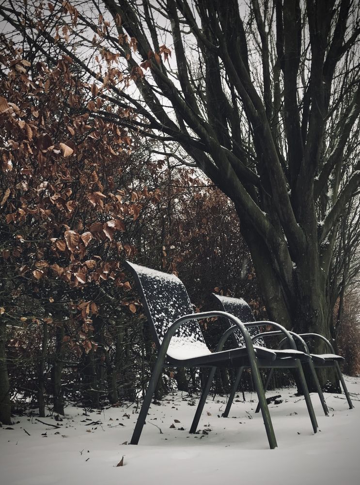 Photograph by Valentina Jegorova