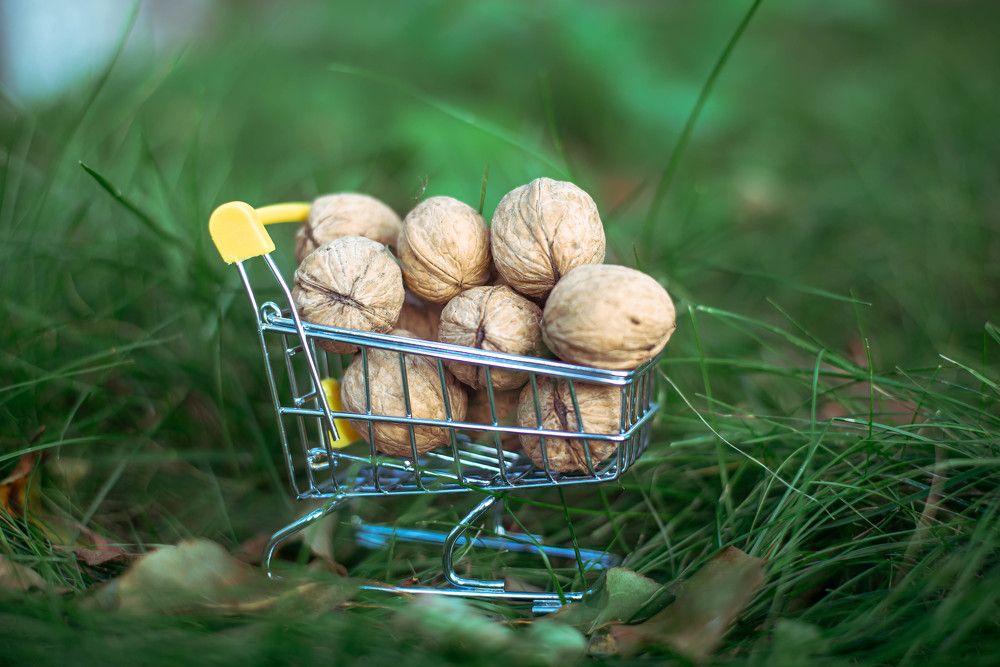 Фотография автора Aleksandra Rebenkova