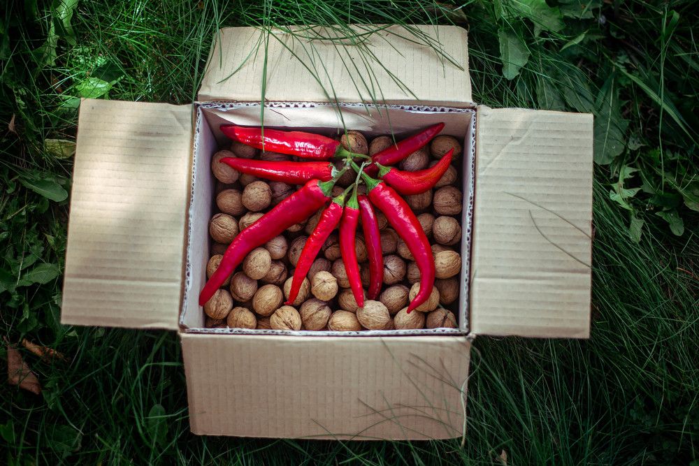 Фотография автора Aleksandra Rebenkova