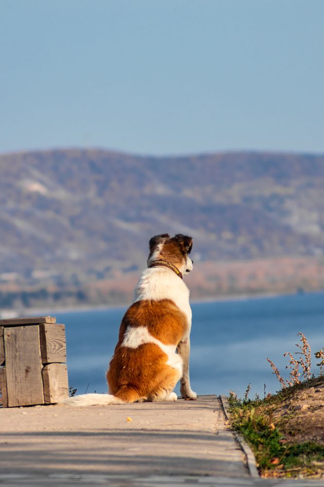 Photograph by Дамир Давронов