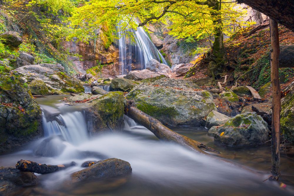 Photograph by Mihail