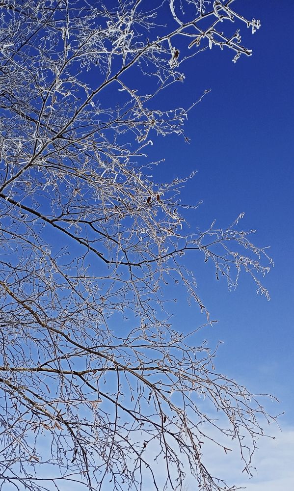 Photograph by Мария Лаврентьева