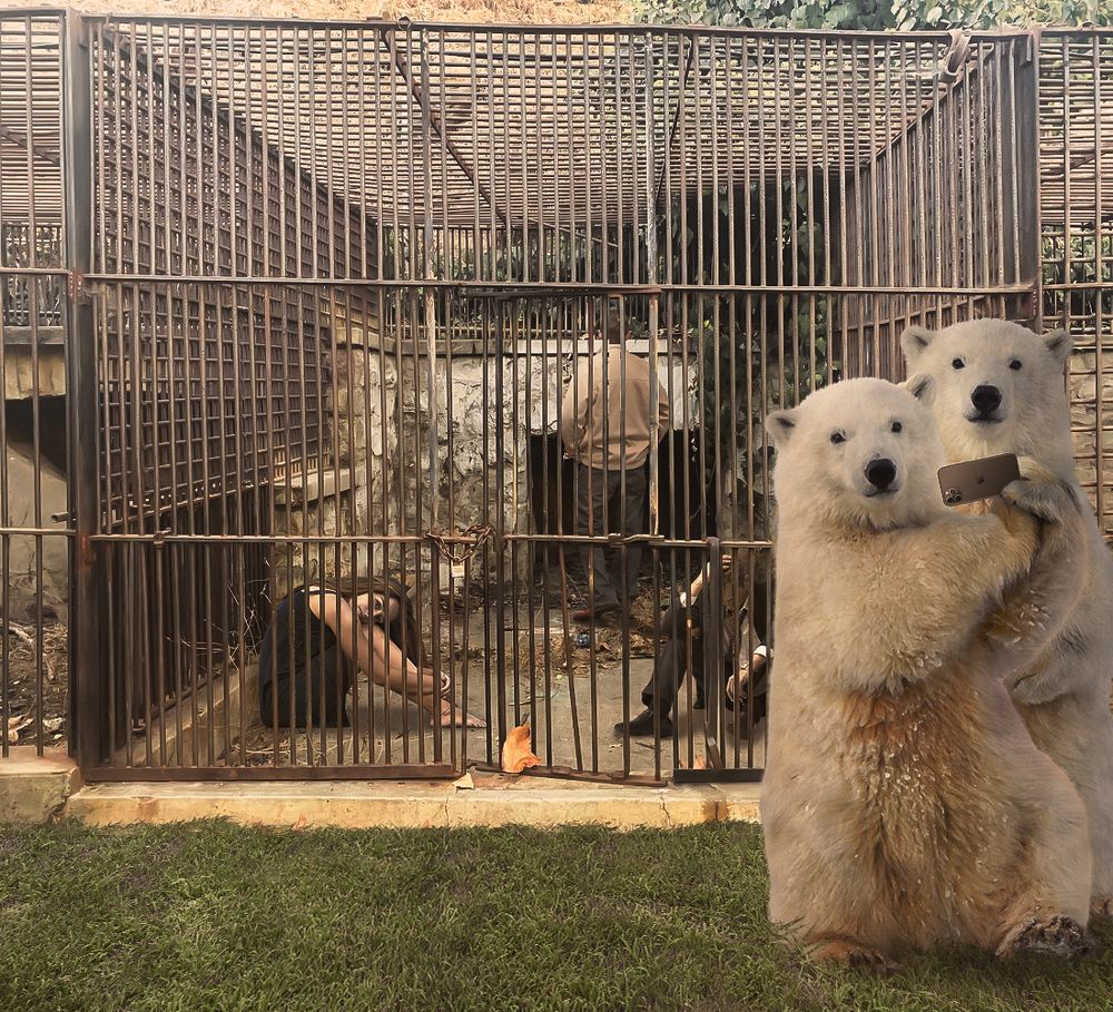 Photograph by amir a