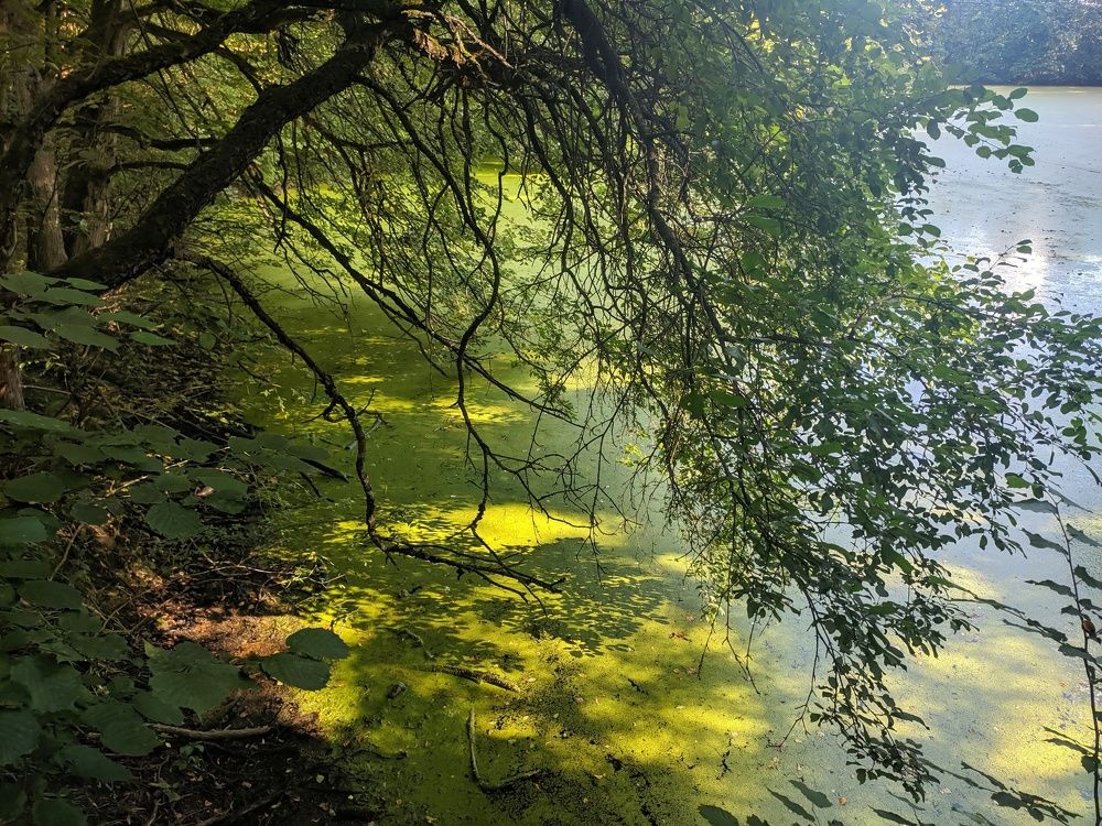 Photograph by Александр Казанцев