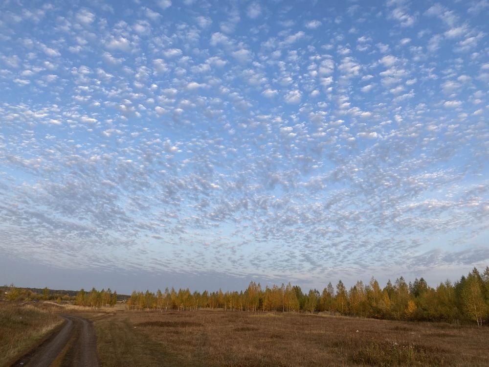 Photograph by Andrei Kolobov