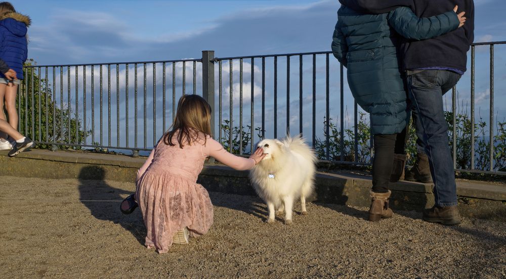 Beautiful Sunny day in November