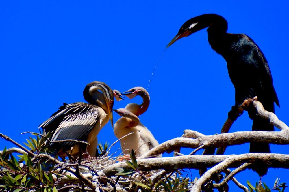 Photograph by Светлана Ткаченко