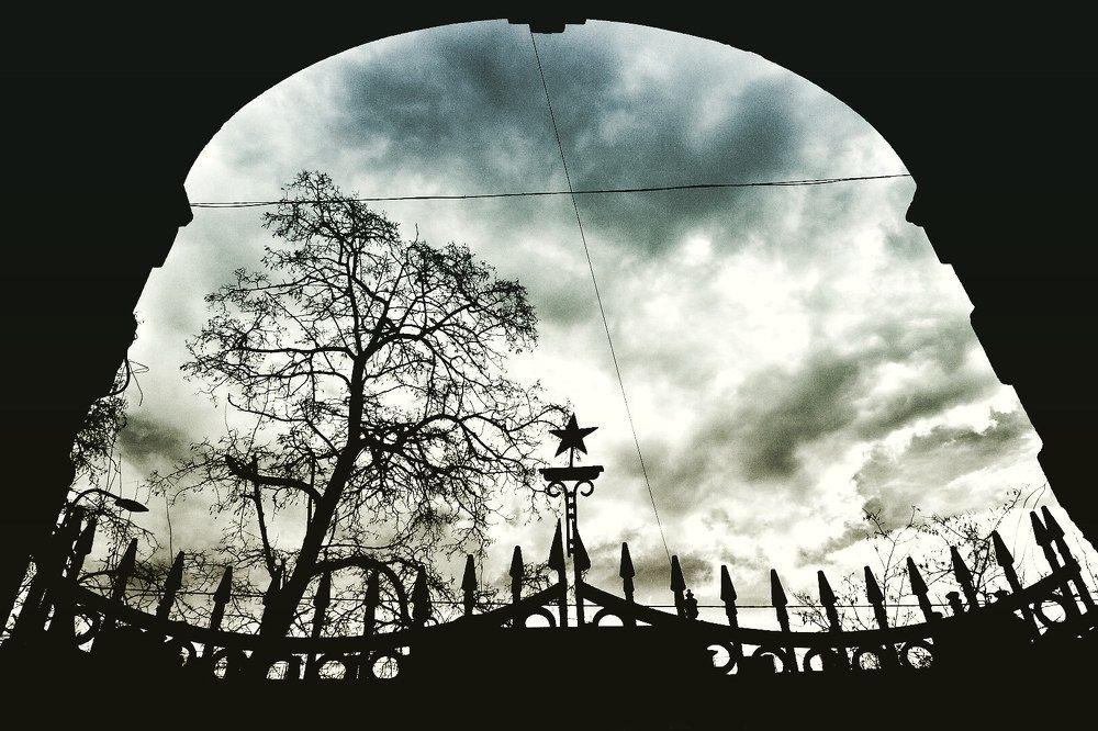 Небо подворотни