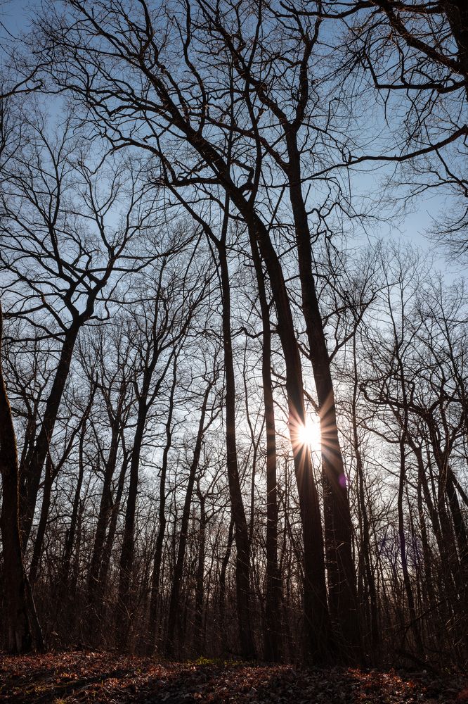 Photograph by Валентина Михайлова