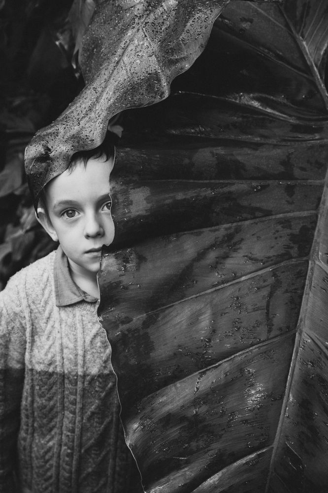 Photograph by Галина Пластун