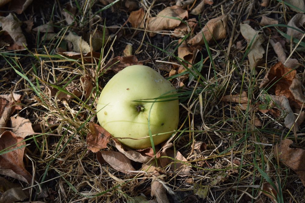 Photograph by Наталия Чайка