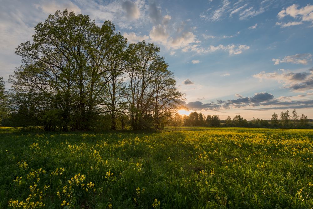 Майские закаты