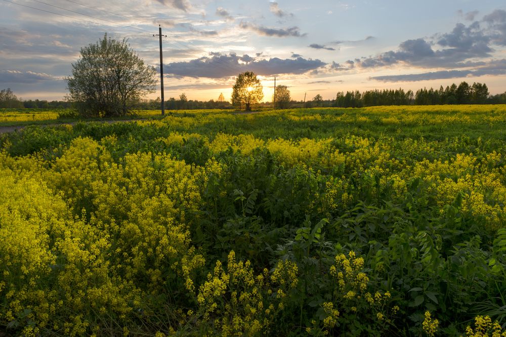 Майские закаты