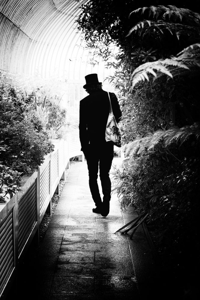 From darkness to shine